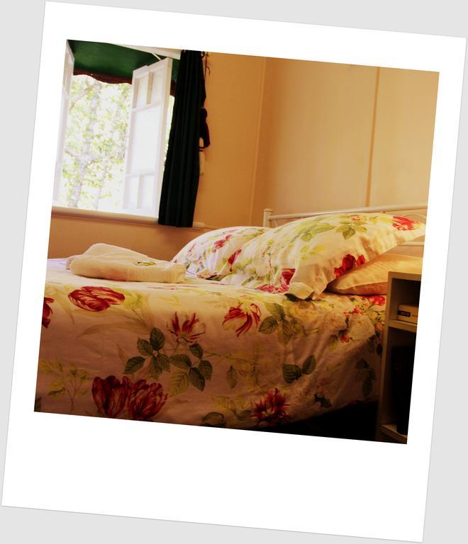 Coral Lodge Bed And Breakfast Inn Townsville Exteriör bild